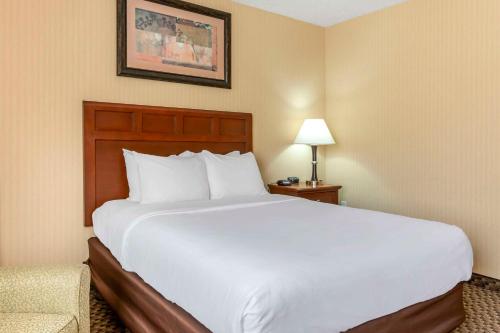 a hotel room with a large white bed and a chair at Comfort Inn Traverse City in Traverse City