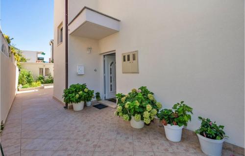 Apartment Kotromanica Iv