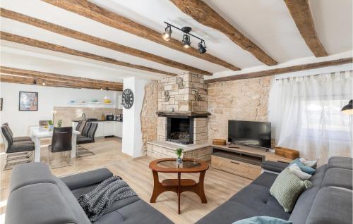 a living room with a couch and a fireplace at Amazing Home In Modrusani With Wifi in Modrušani