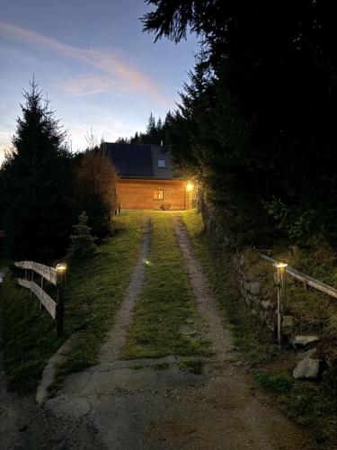 a house with lights on the side of a dirt road at ALMNEST - LACHTAL in Lachtal