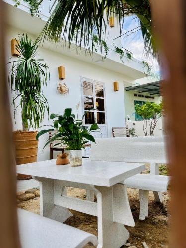 a table and benches in a room with plants at New Yêu Biển homestay in Vĩnh Hy