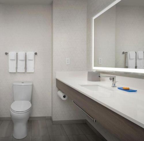 a bathroom with a toilet and a sink and a mirror at Holiday Inn Express & Suites Knoxville-Clinton by IHG in Clinton