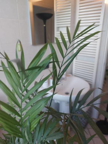 a green plant in a room with a table at APPARTAMENTO CHEMIN DE FER in Saint Vincent