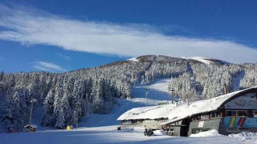 una montaña cubierta de nieve con un lodge de esquí en una pista de esquí en APARTMAN "CHARDAK", en Bjelašnica