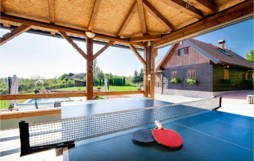 an indoor ping pong court in a house with a roof at Holiday Home Gradec in Brežane Lekeničke