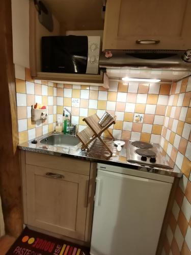 a small kitchen with a sink and a microwave at La petite porcherie in Ladignac-le-Long