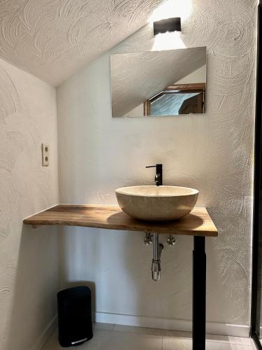 a bathroom with a sink and a mirror at Cacele - La croisette 5 appartementen en 6 tweepersoonskamers in Vresse-sur-Semois