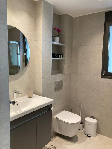 a bathroom with a toilet and a sink and a mirror at Artion Cozy Residence Nikiti in Nikiti