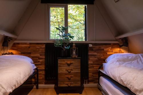 a bedroom with two beds and a window at Boshuisje Viva l'Ardenne - Chalet 122 in Durbuy