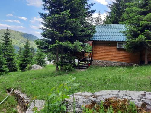 Φυσικό τοπίο κοντά σε αυτό το hostel