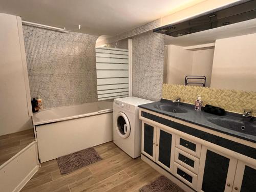 une salle de bain avec un lavabo et une machine à laver dans l'établissement La Parenthèse de l'Eau Bénite, à Troyes