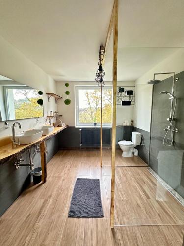 a bathroom with a shower and a sink and a toilet at Dolpo 55 in Benešov