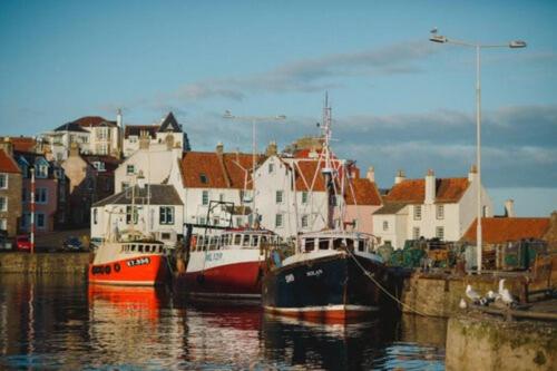 a group of boats docked in a harbor with buildings at The Old Stable - Your Seaside Hideaway in Pittenweem