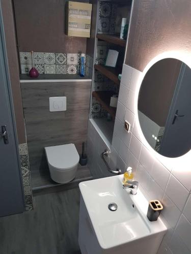 a bathroom with a white sink and a mirror at Les Souchottes, charmante maisonnette in Bulligny
