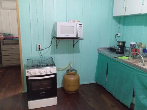 a kitchen with a stove and a microwave at MICRO CASA DE SITIO DO TIO Tonho in Blumenau