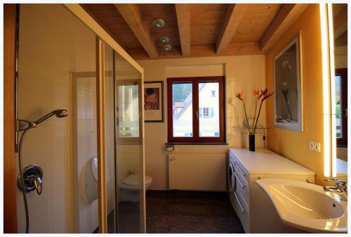 a bathroom with a sink and a toilet and a window at Studio A Am Burgberg in Erlangen