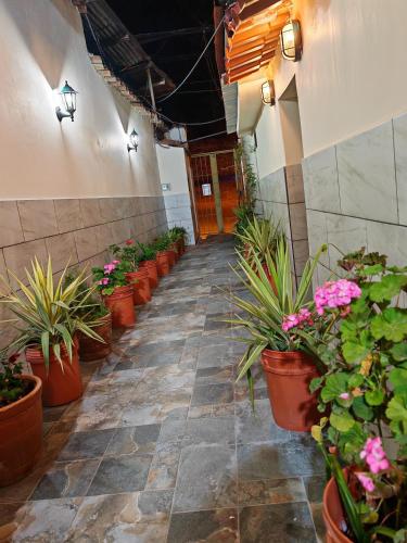 a corridor with potted plants on the side of a building at Centro Cusco Inti in Cusco