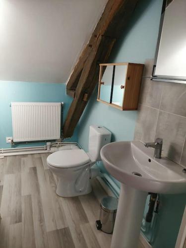 une salle de bain avec des toilettes blanches et un lavabo dans l'établissement Grand Gîte Les Chemisières, à Argenton-sur-Creuse