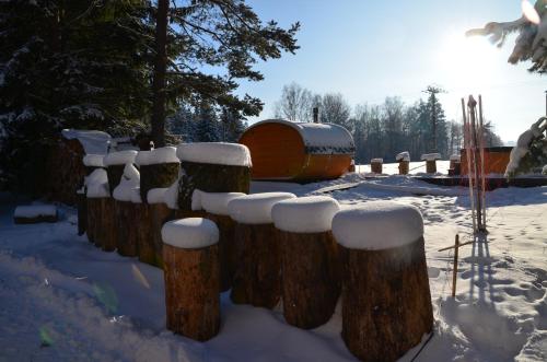 Gallery image of Penzion Gaudeamus in Milovy