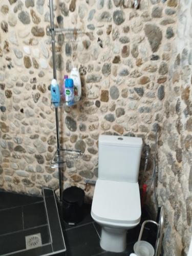 a bathroom with a white toilet and a stone wall at Το πέτρινο 2 in Agia Marina Mikrolimanou