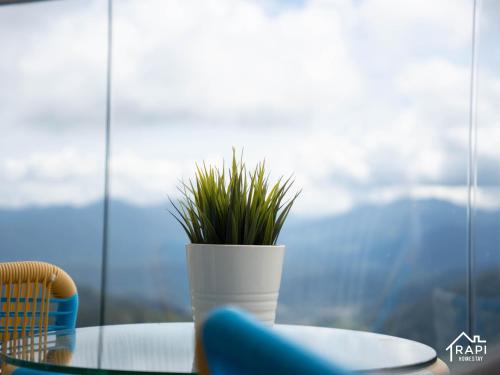 a plant in a white vase sitting on a table at Windmill Upon Hills Premium Suite By Rapi Stay in Genting Highlands