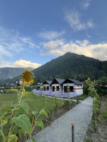 a house in a field with a mountain in the background at Himtrek Stay Kasol in Kasol