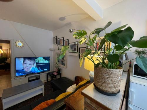 un salon avec un canapé et une télévision dans l'établissement Appartement Paris 10 arr, à Paris