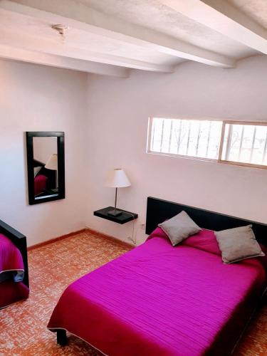 a bedroom with a large bed with a pink blanket at Casa Madrigal in Guanajuato