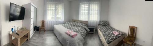 TV a/nebo společenská místnost v ubytování pokoje do wynajęcia