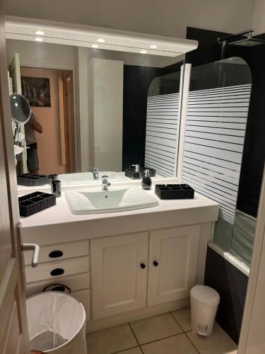 une salle de bain avec un lavabo et un miroir dans l'établissement Appartement T2, 55M2, meublé, piscine, à Marseille