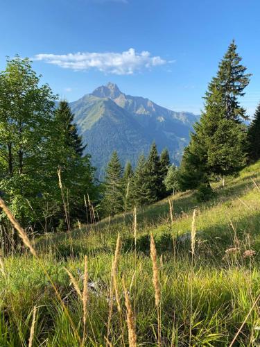 a view of a mountain from a field with trees at Appart 8 pers ac Jacuzzi portes du soleil La Chapelle-Chatel in La Chapelle-dʼAbondance