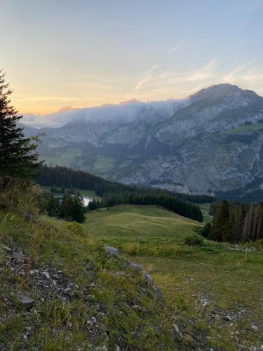 a grassy hill with a view of a mountain at Appart 8 pers ac Jacuzzi portes du soleil La Chapelle-Chatel in La Chapelle-dʼAbondance