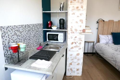 une petite cuisine avec un évier et un micro-ondes dans l'établissement Chambre dhôtes familiale à Saint Pierre du Chemin, à Saint-Pierre-du-Chemin