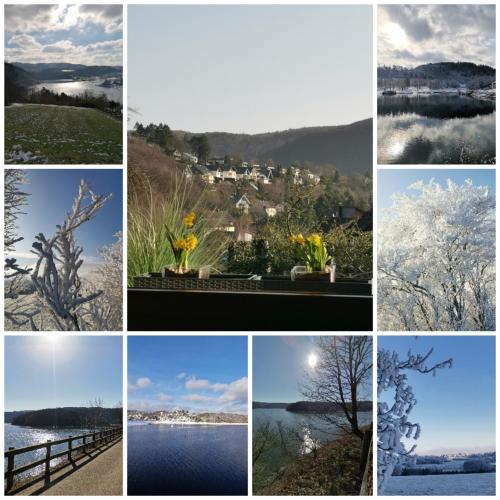 a collage of different photos of trees and water at Wohnung Balko in Simmerath