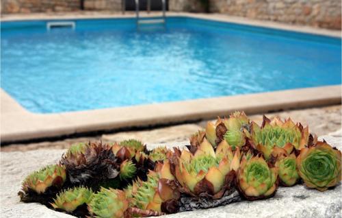 Bassein majutusasutuses Villa Bassi või selle lähedal