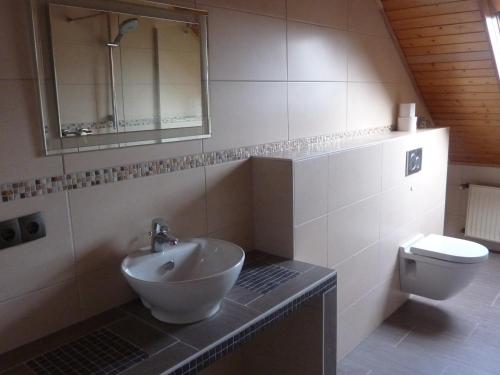 ein Badezimmer mit einem Waschbecken, einem WC und einem Spiegel in der Unterkunft Ferienwohnung Schildwache in Homburg