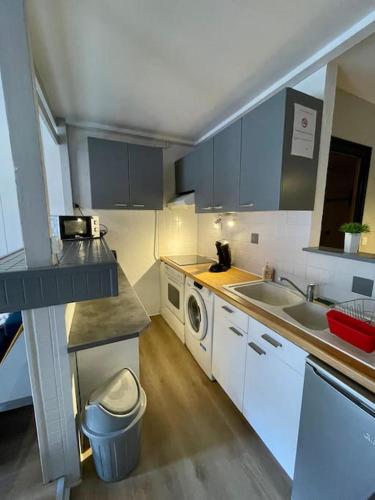 une cuisine avec un évier et une machine à laver dans l'établissement Appartement 2 ch - hyper centre Cauterets, à Cauterets