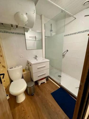 une salle de bain avec toilettes, douche et lavabo dans l'établissement Appartement 2 ch - hyper centre Cauterets, à Cauterets