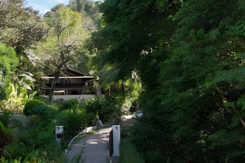 a road leading to a house in a forest at Tumbo Resort in Cabo Matapalo
