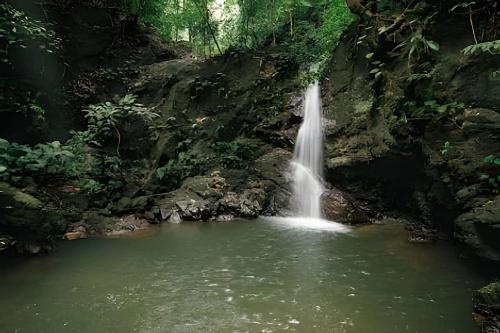 a waterfall in a pool of water in a forest at Tumbo Resort in Cabo Matapalo
