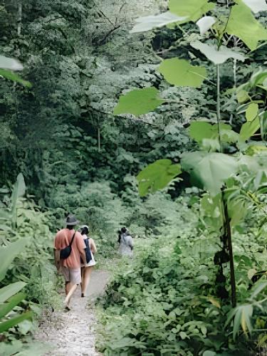 two people walking down a trail in the forest at Tumbo Resort in Cabo Matapalo