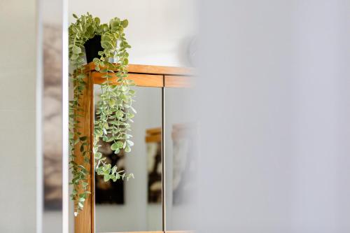 a mirror with some plants on top of it at Jungle House in Chichester
