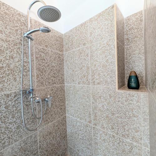 a shower with a shower head in a bathroom at The Art of Leo in Lucugnano