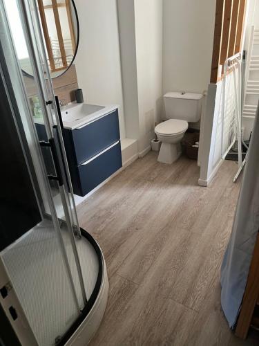 a bathroom with a toilet and a sink at Charmant studio cosy avec parking in Caen