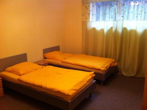 プフングシュタットにあるAppartements Funkの黄色のシーツと窓が備わる客室のベッド2台分です。