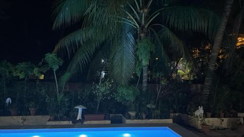 a swimming pool with palm trees in the background at Georgies wooden homes stay in Goa