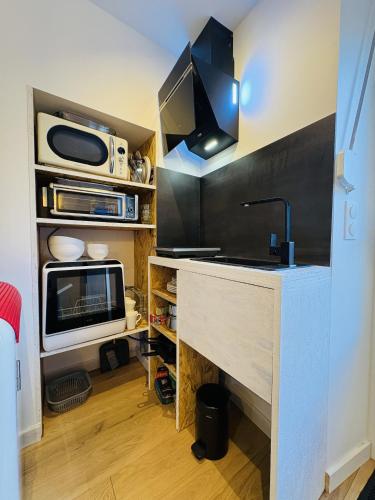 une cuisine avec un évier et un micro-ondes dans l'établissement Petite merveille, à Vittel
