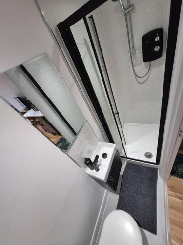 a bathroom with a shower with a sink and a mirror at Your London Escape - Cosy Studio w fast Wi-Fi & free onstreet parking in London