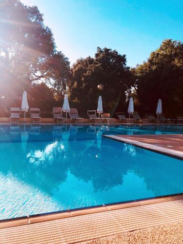 a swimming pool with chairs and umbrellas at Nuraghe Ruiu Piazzole campeggio Blue Holiday in Norbello