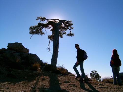 a man and a woman walking on a hill next to a tree at Casas Cueva Cazorla in Hinojares